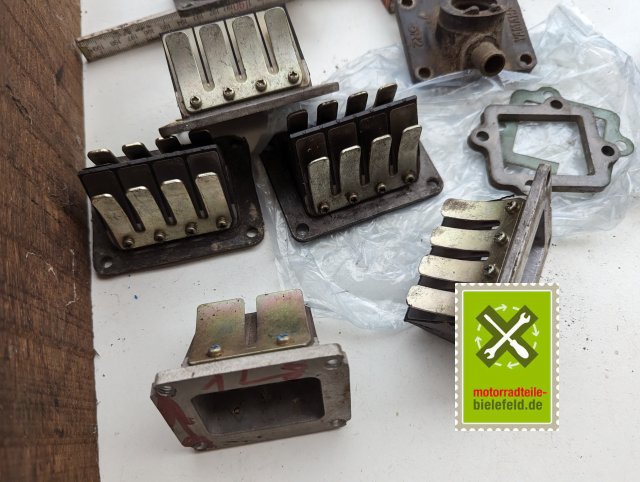 PXL_20240518_155256091